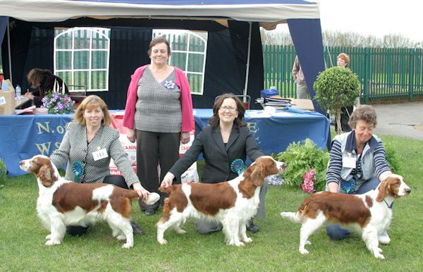 Best In Show Championship Show 2010