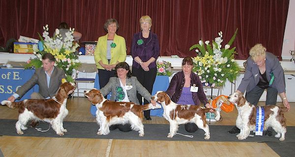 Best In Show Championship Show 2011