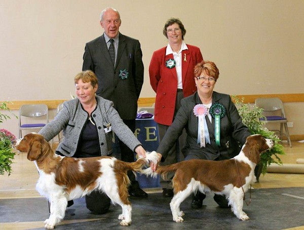 Best Puppy Championship Show 2012