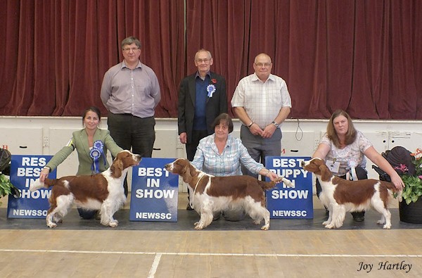 Open Show winners November 2014